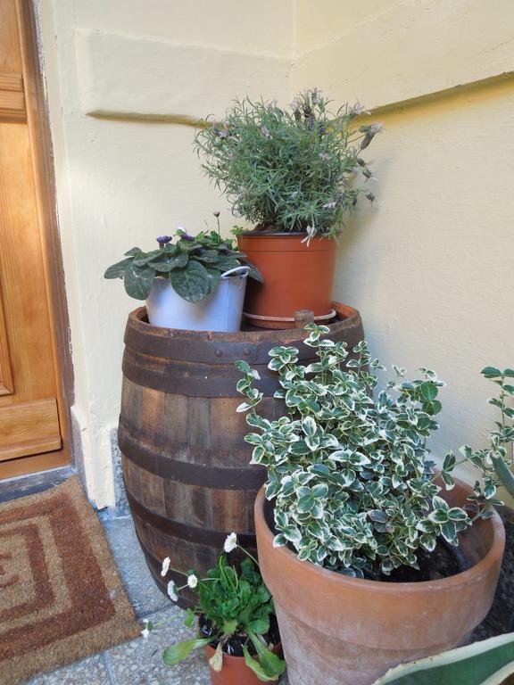 Apartment Rustic Elegance Budapest
